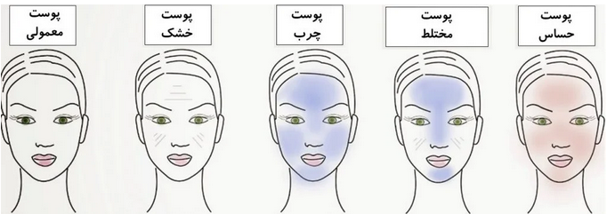 پوست صورت و انواع آن